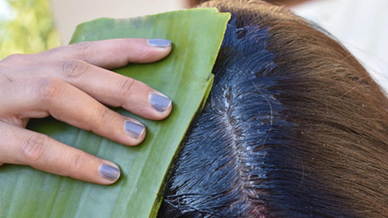 Picsart 23 12 26 10 10 45 516