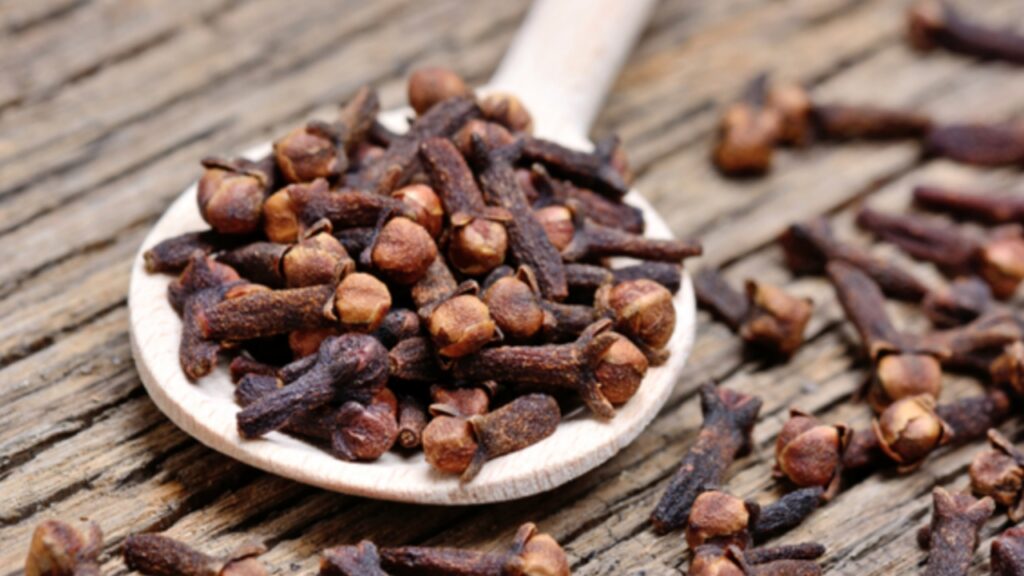 Picsart 23 12 27 11 35 44 329