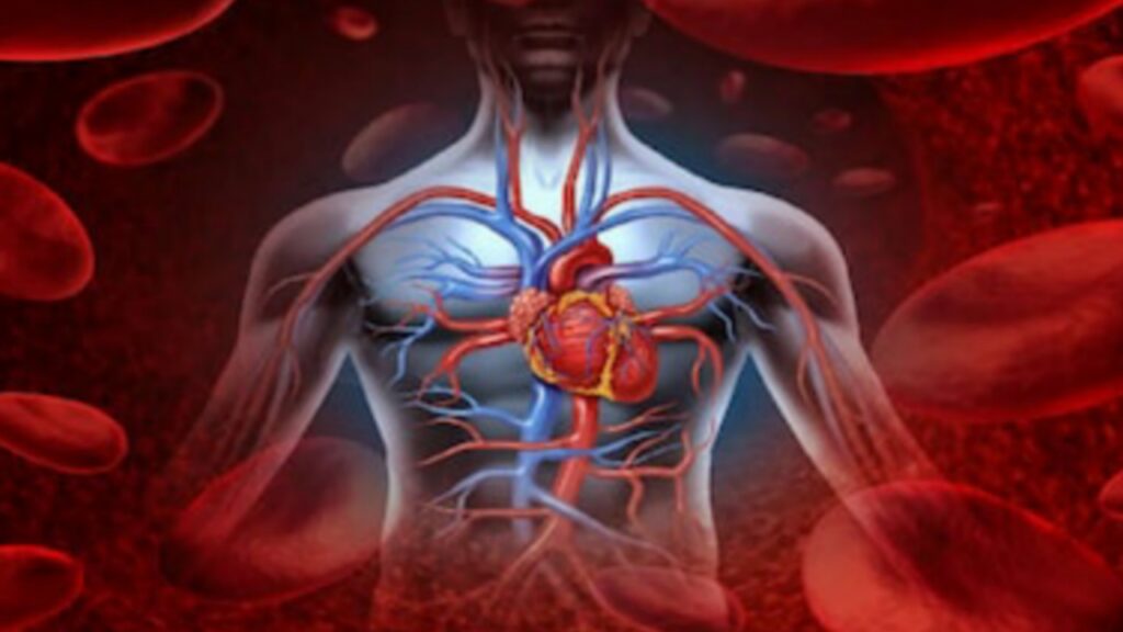 Picsart 23 12 28 10 24 44 792