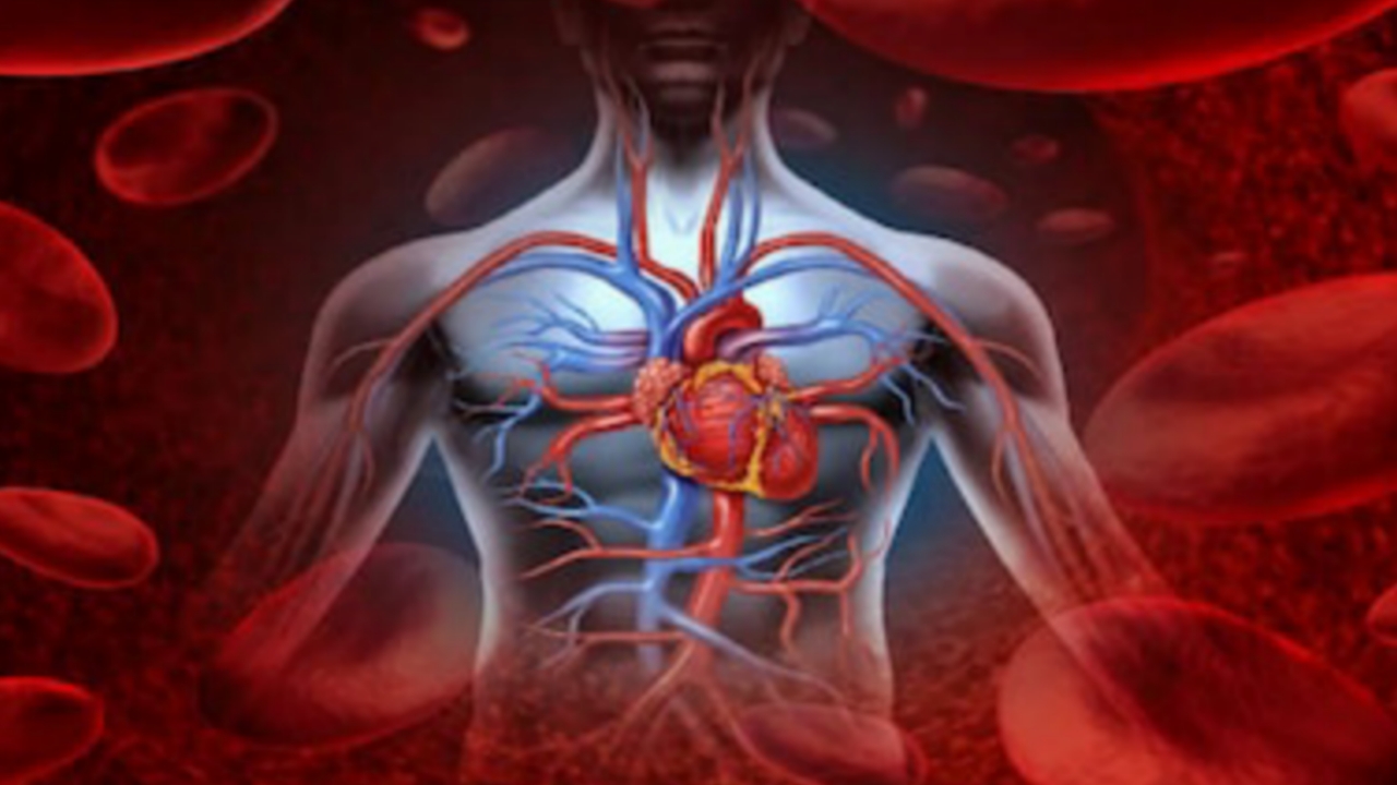 Picsart 23 12 28 10 24 44 792