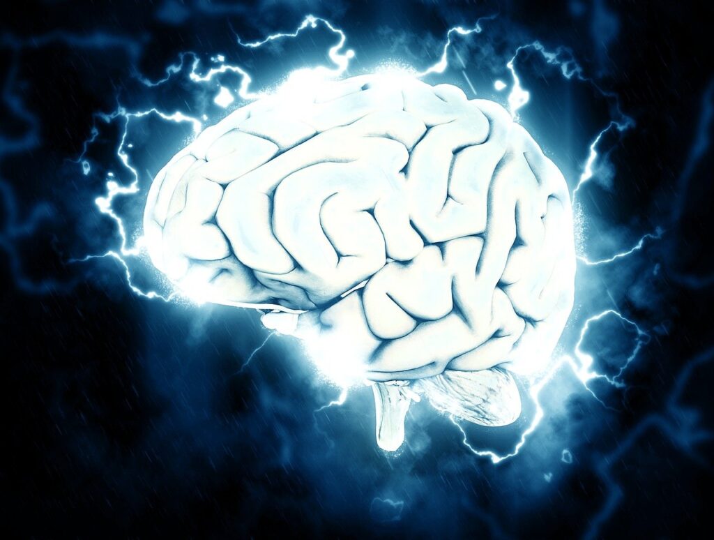 brain g786474dca 1280 brain g786474dca 1280