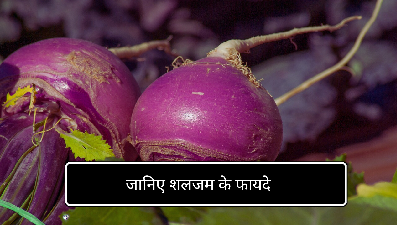 सर्दियों के लिए बेस्ट जगह 3