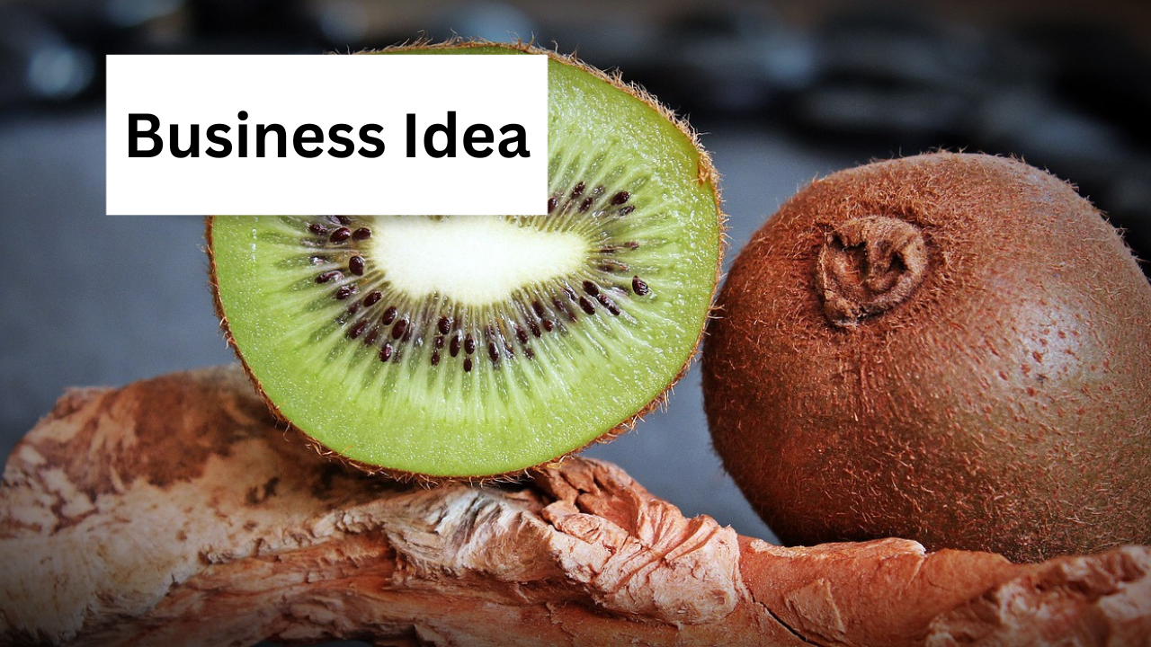 Business Idea 10