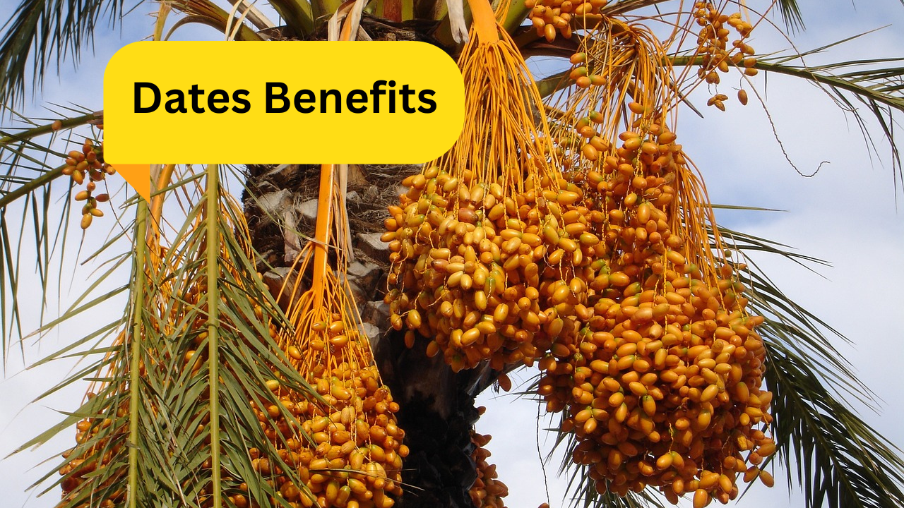 Dates Benefits