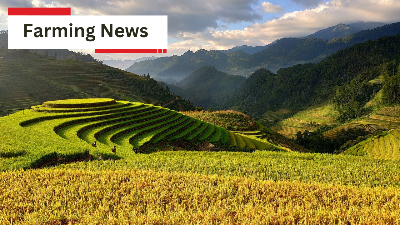 Farming News