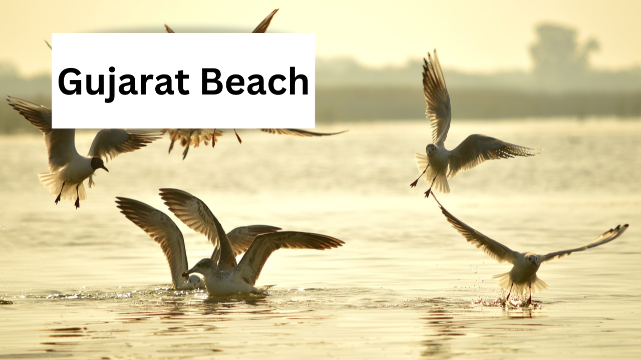 Gujarat Beach
