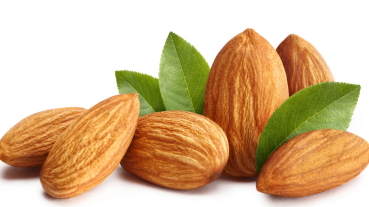 Picsart 24 01 05 08 57 05 187