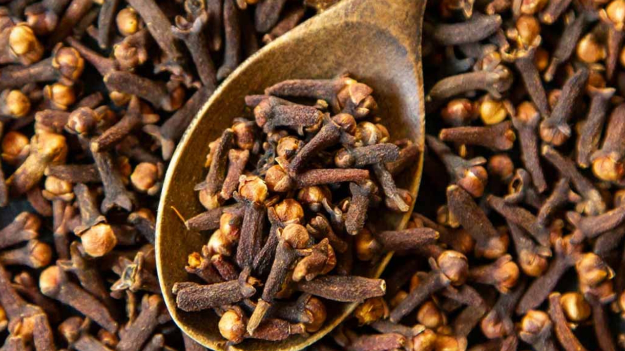 Picsart 24 01 06 11 08 42 745