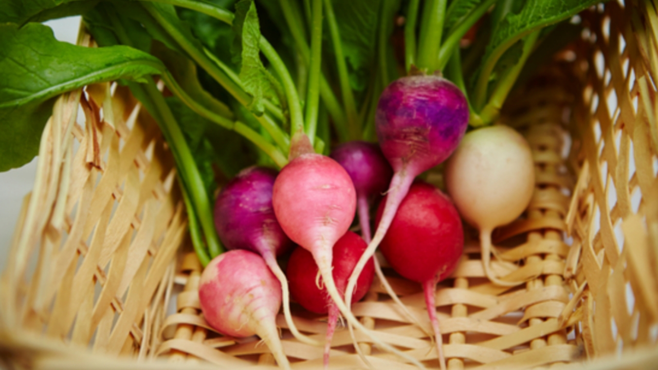 Picsart 24 01 07 09 21 15 007