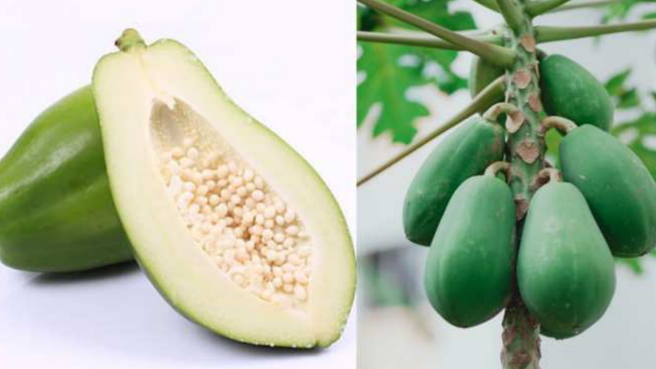 Picsart 24 01 10 09 19 46 943