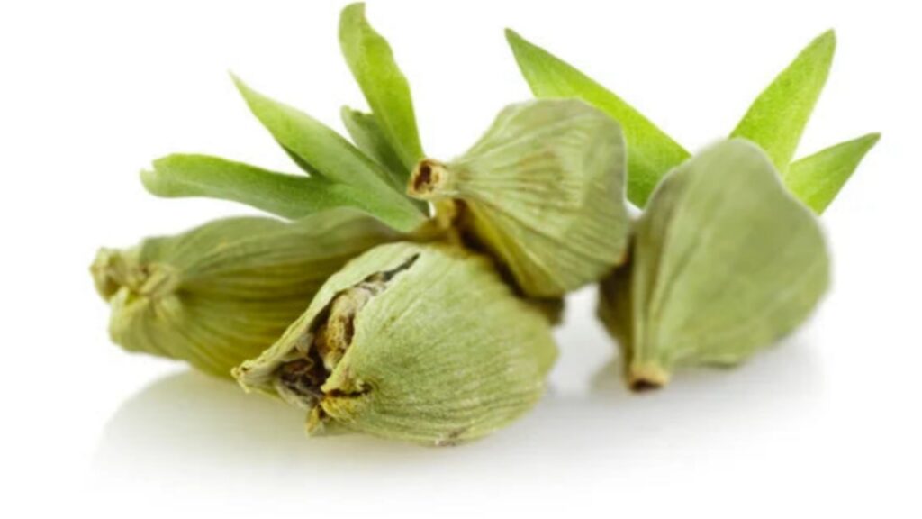 Picsart 24 01 16 12 01 00 959 Picsart 24 01 16 12 01 00 959