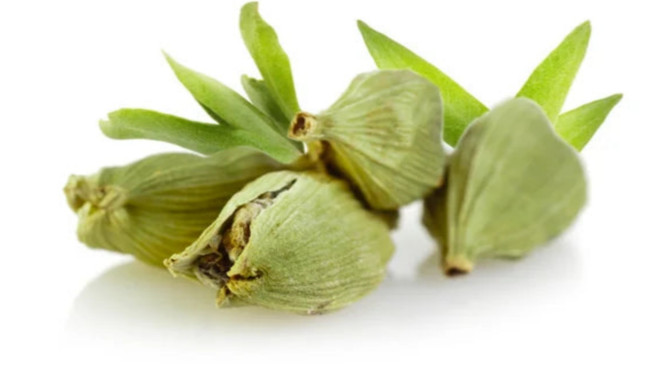 Picsart 24 01 16 12 01 00 959