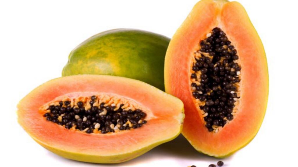 Picsart 24 01 19 09 44 37 374 Picsart 24 01 19 09 44 37 374