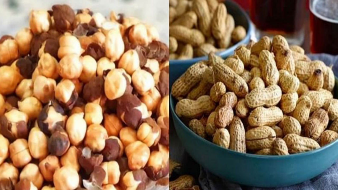 Picsart 24 01 27 13 31 56 164