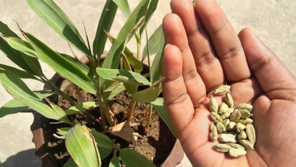 Picsart 24 01 27 17 07 13 083