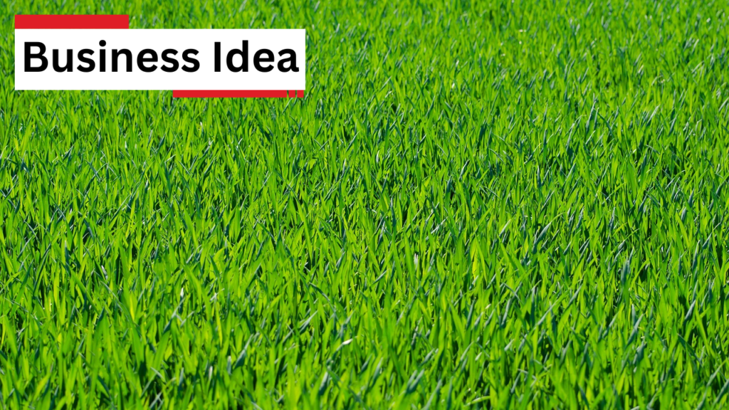 Business Idea