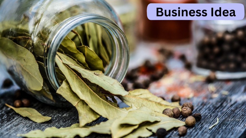 Business Idea 5 Business Idea 5