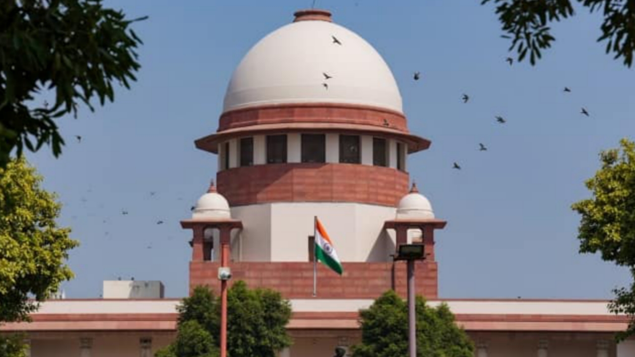 Picsart 24 02 06 14 56 01 603