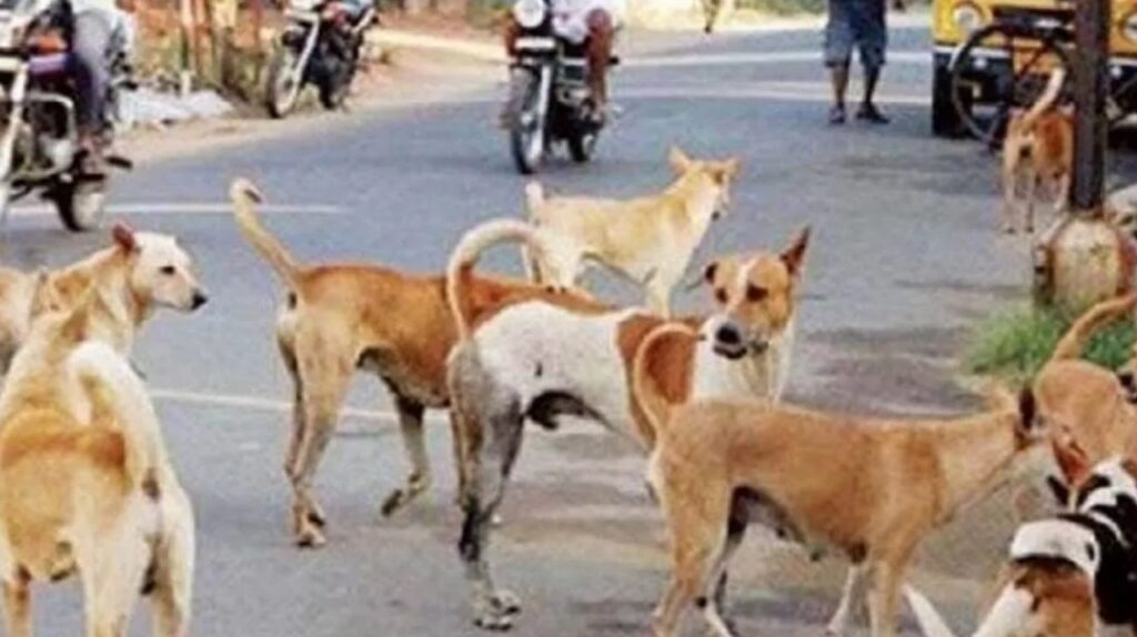 Picsart 24 02 06 18 08 29 680 Picsart 24 02 06 18 08 29 680