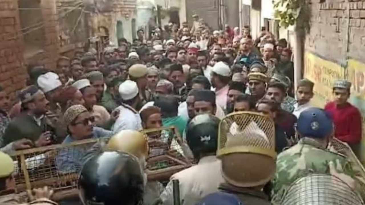 Picsart 24 02 09 18 49 34 636