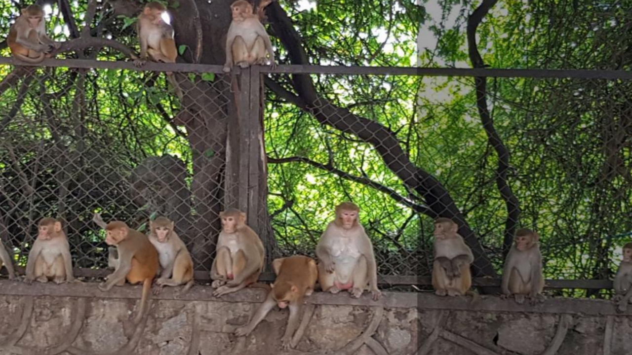 Picsart 24 02 19 19 15 38 816