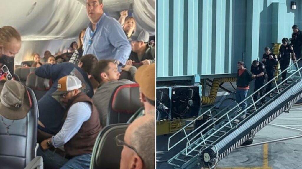 Picsart 24 02 21 19 11 38 380 Picsart 24 02 21 19 11 38 380