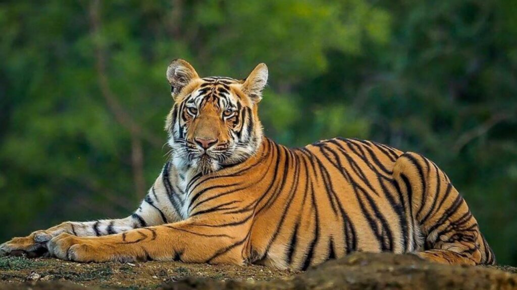 Picsart 24 02 22 16 53 48 597 Picsart 24 02 22 16 53 48 597