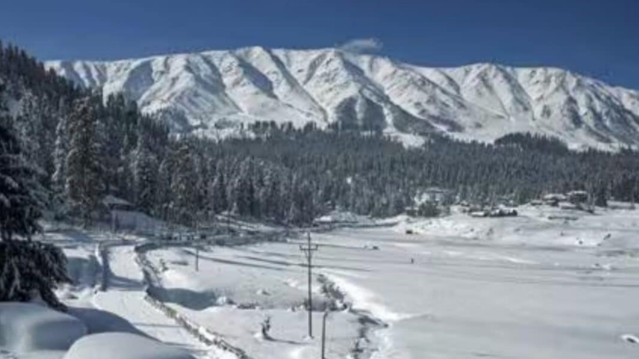 Picsart 24 02 22 17 31 46 980