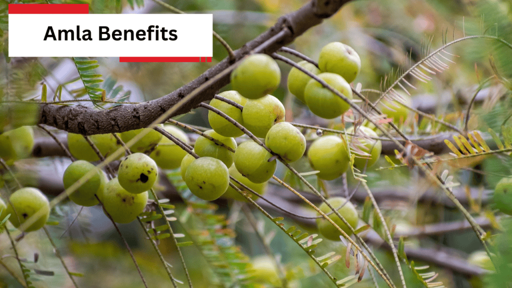 Amla Benefits