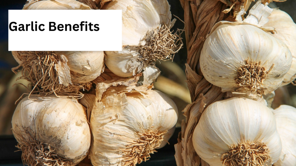Garlic Benefits