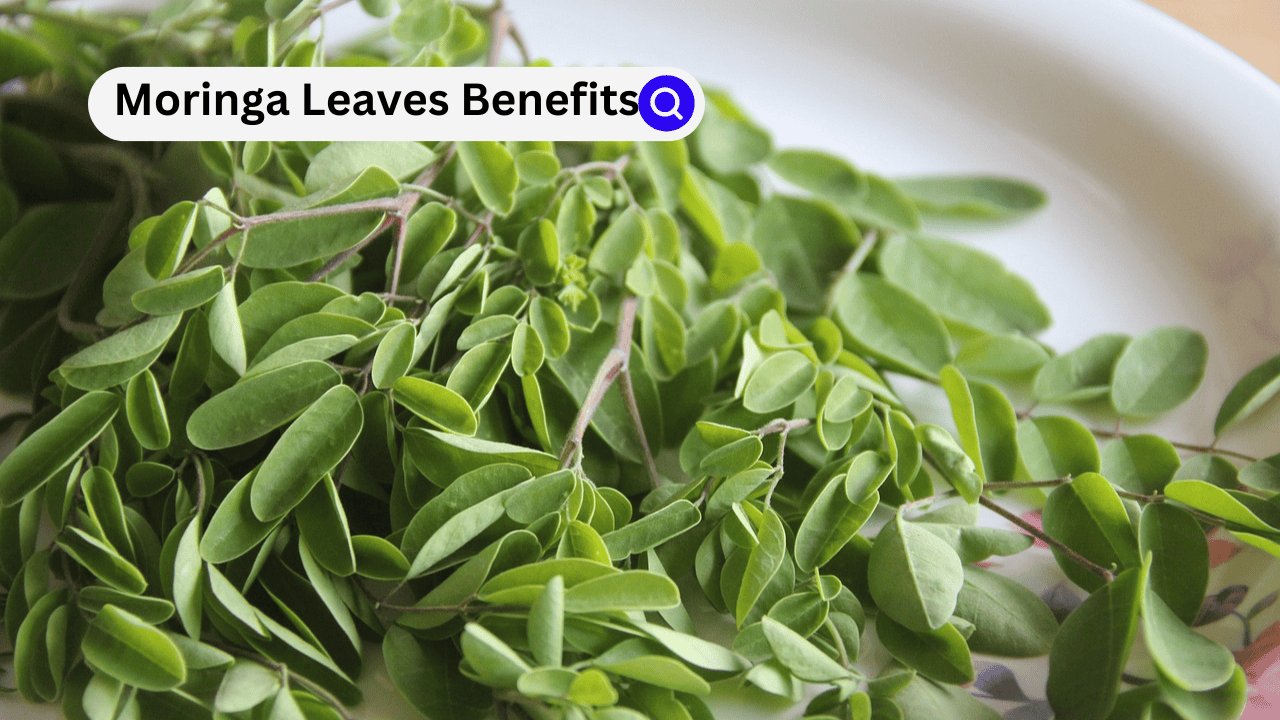 Moringa Leaves Benefits 1