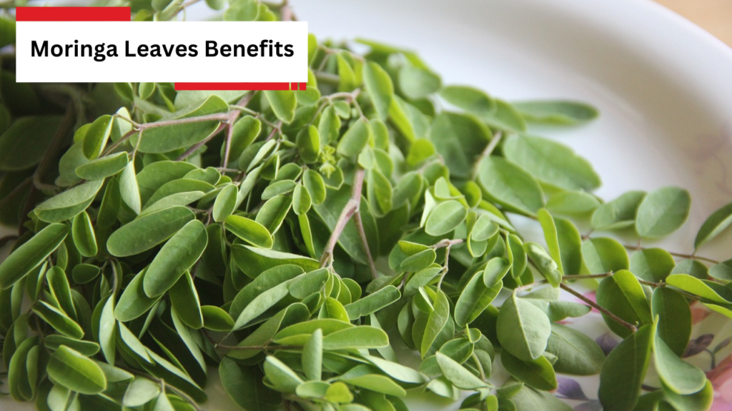 Moringa Leaves Benefits