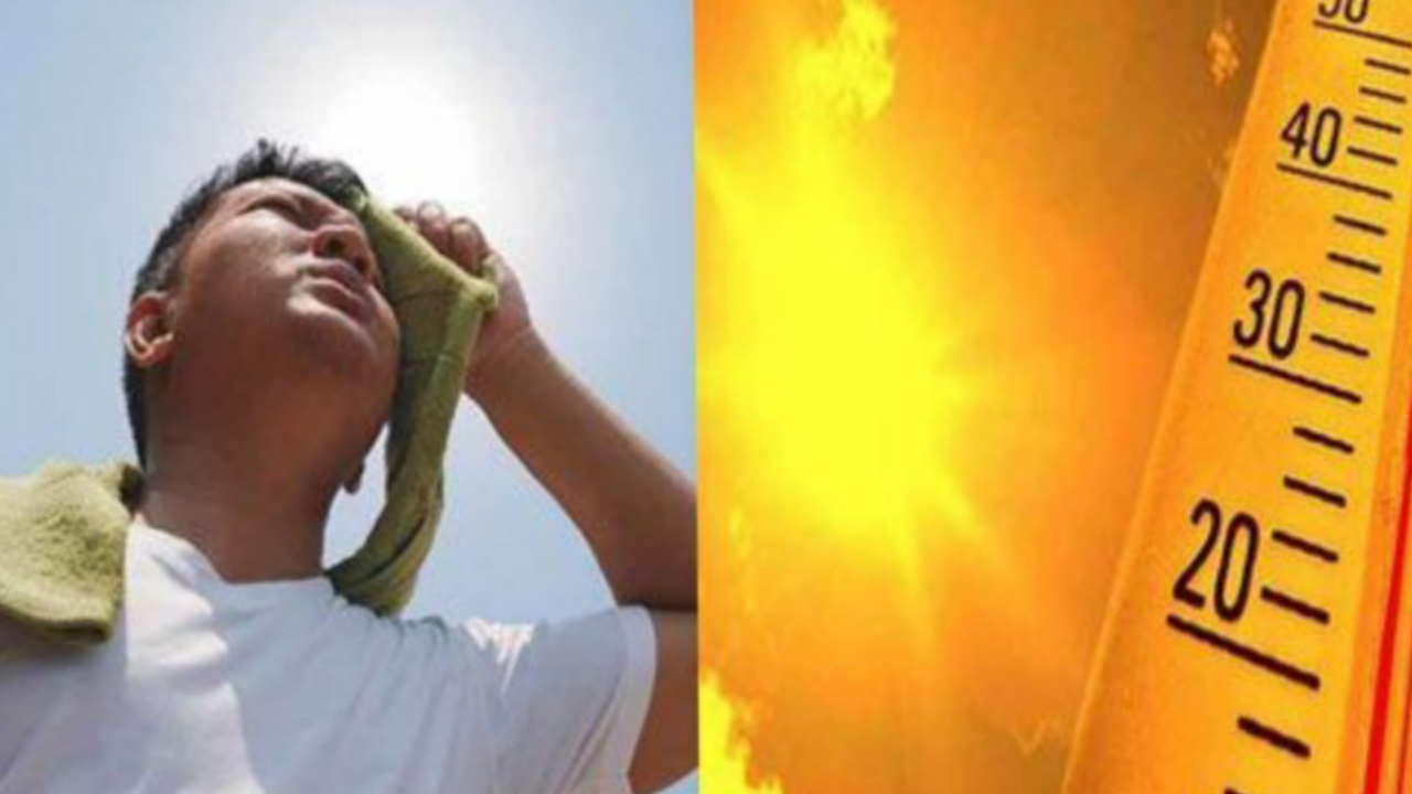 Picsart 24 03 02 11 40 30 617