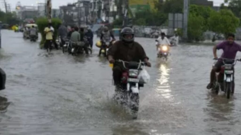 Picsart 24 03 04 11 50 30 139 Picsart 24 03 04 11 50 30 139