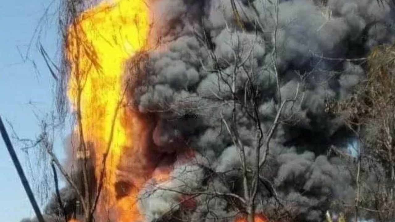 Picsart 24 03 04 19 02 21 942