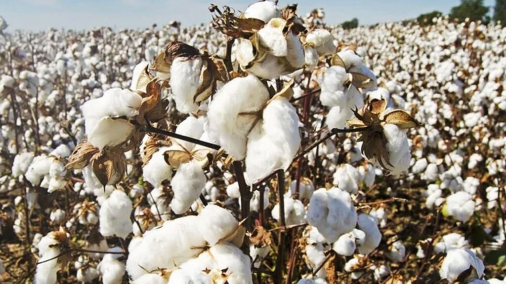 Picsart 24 03 04 19 56 29 411