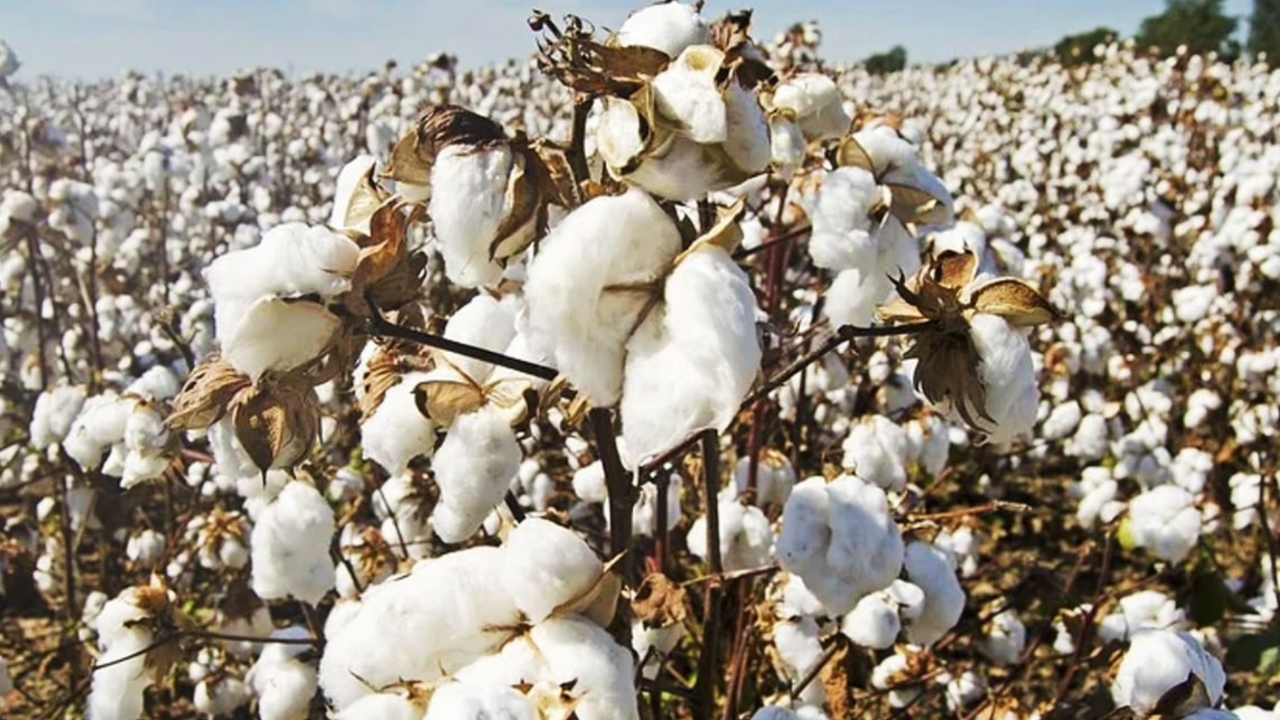 Picsart 24 03 04 19 56 29 411