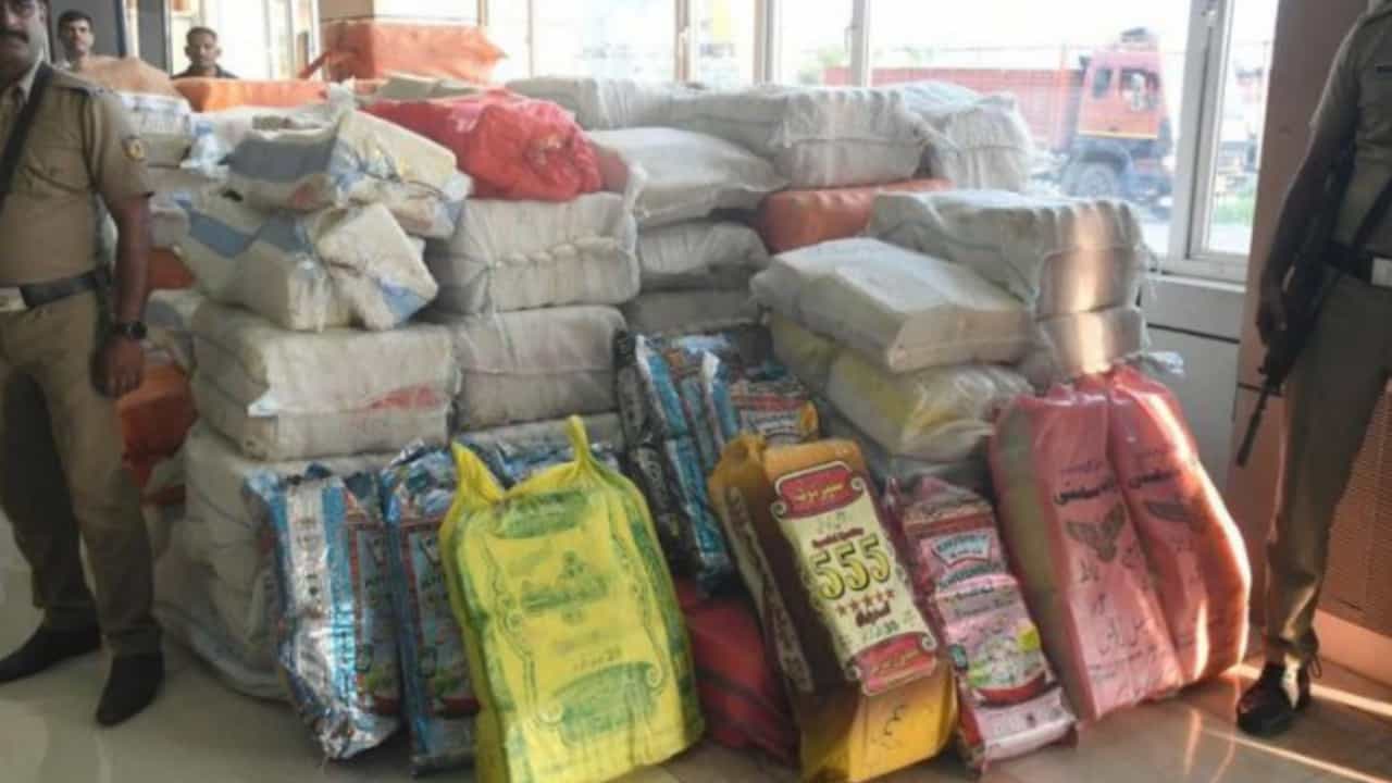 Picsart 24 03 11 12 01 35 258