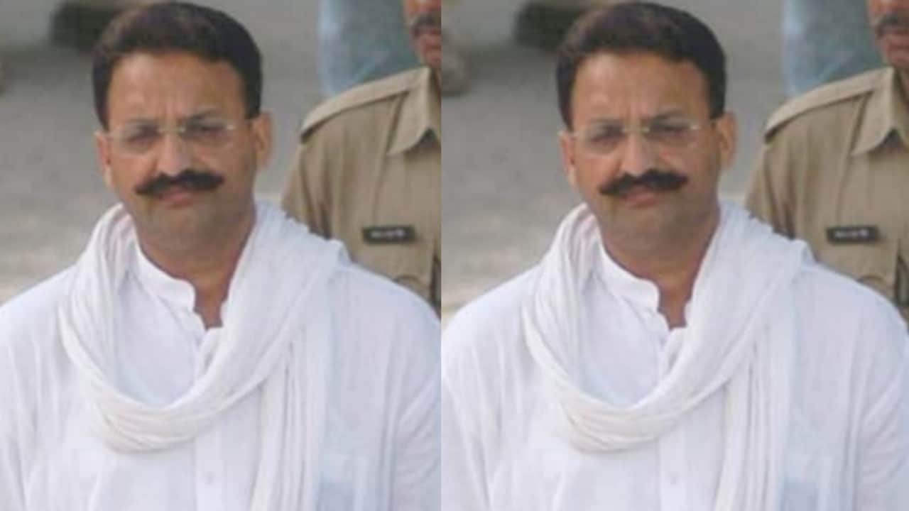 Picsart 24 03 26 14 10 39 715