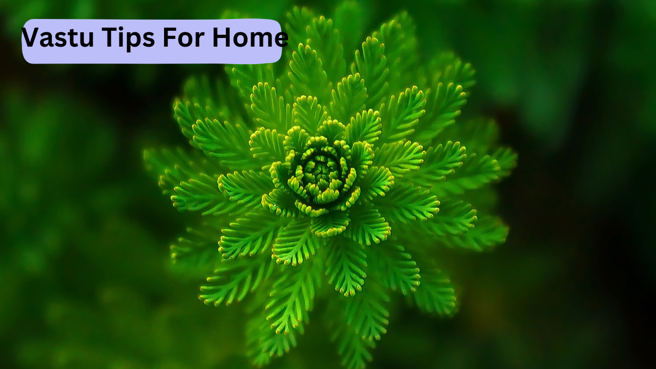 Vastu Tips For Home