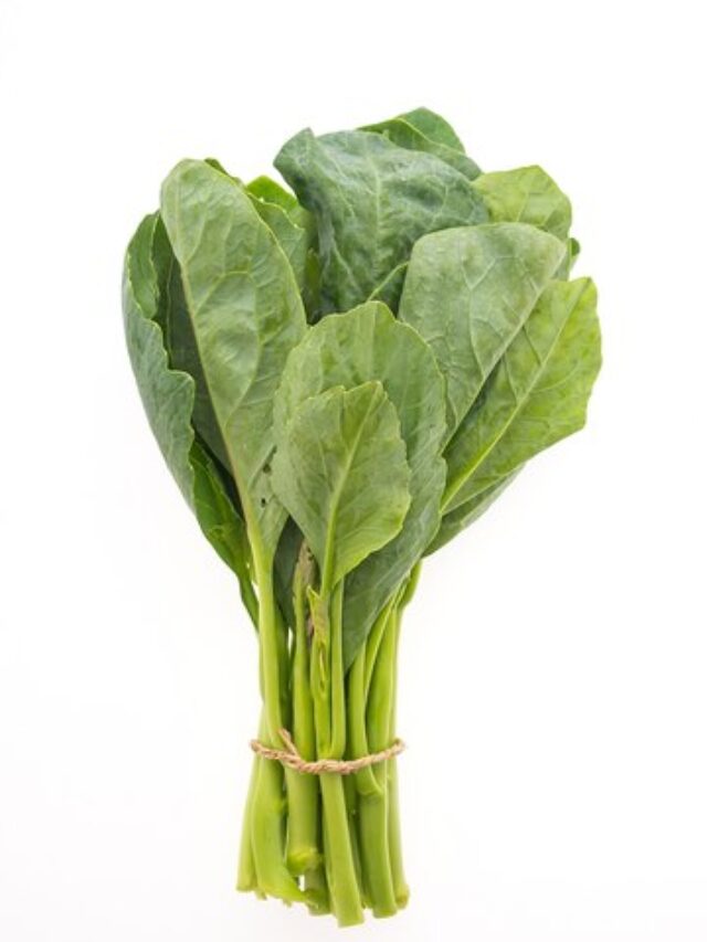 chinese-broccoli-vegetables_1203-6831