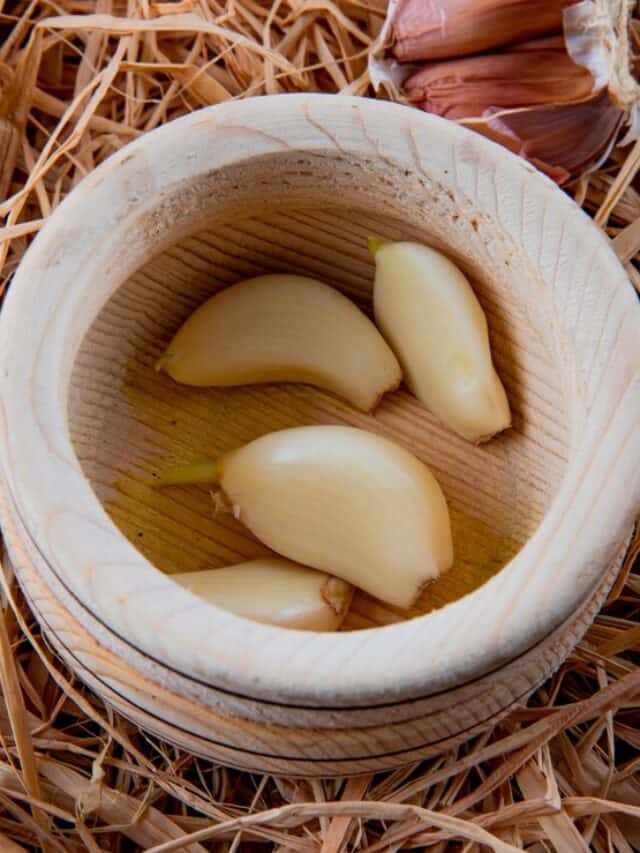 close-up-view-peeled-garlic-cloves-garlic-crusher-straw-background_141793-5391