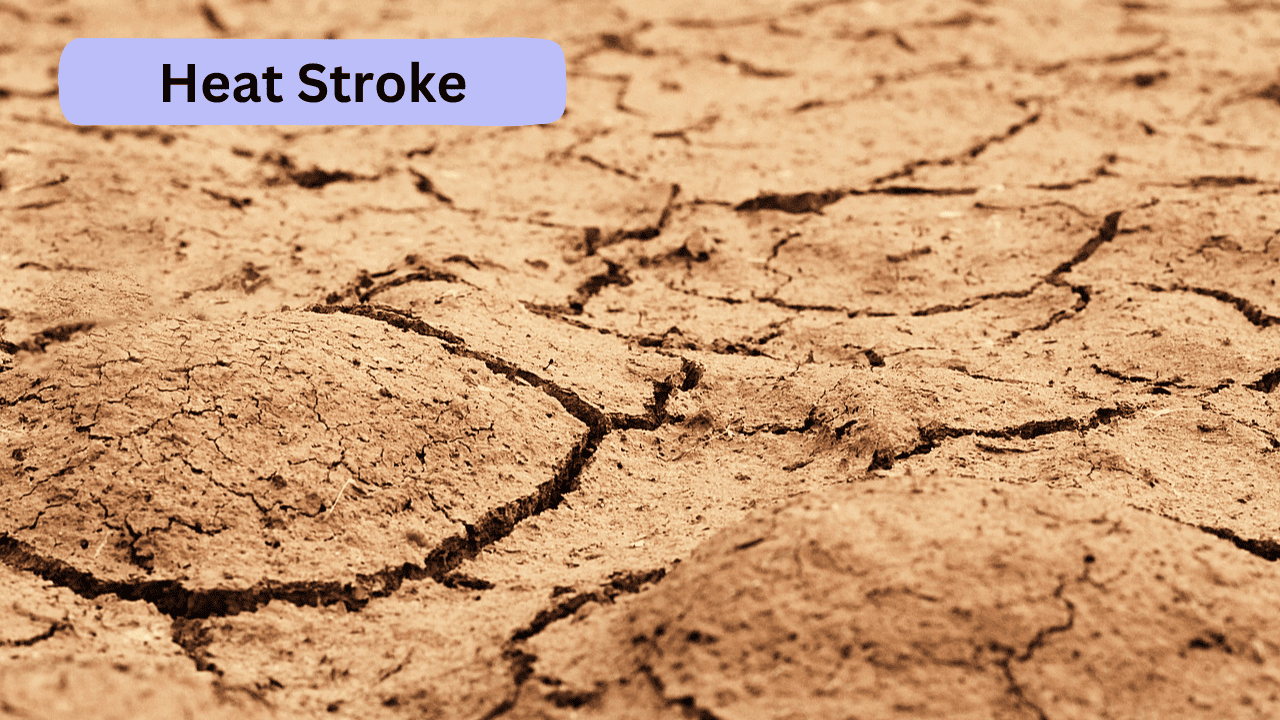 Heat Stroke