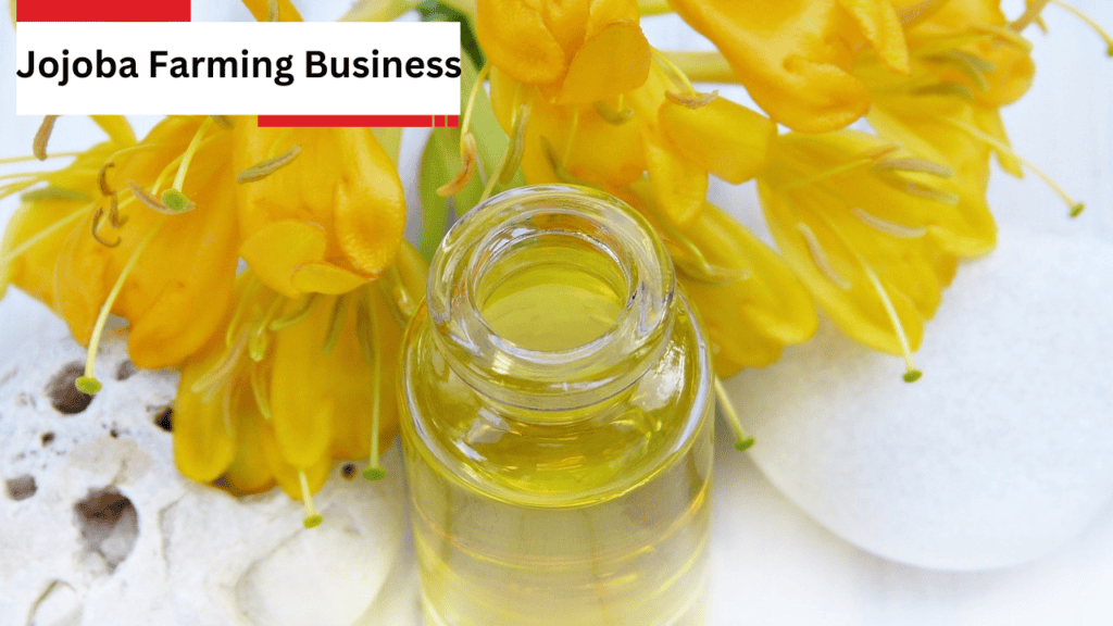 Jojoba