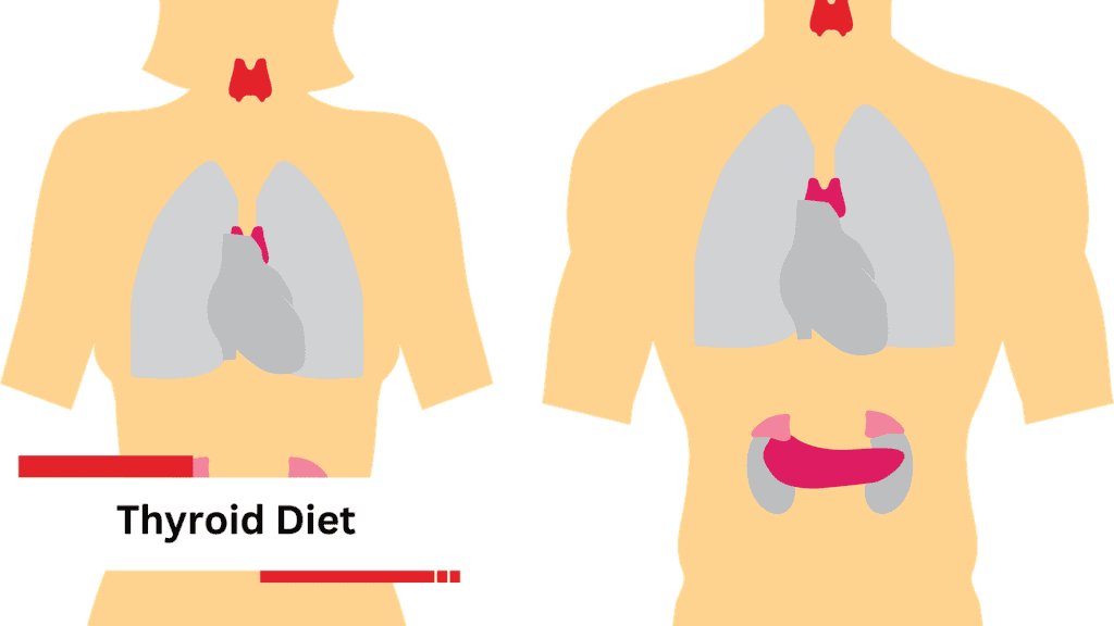 Thyroid Diet