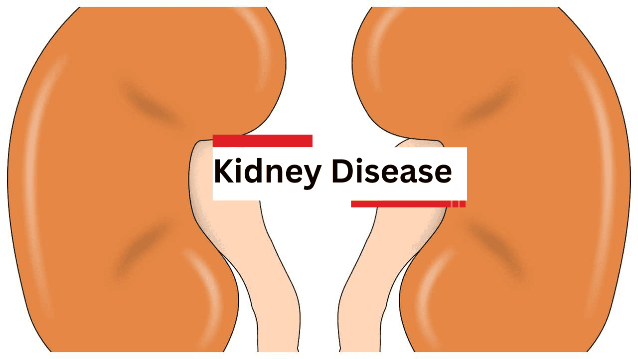 UP Board Results 2024 3