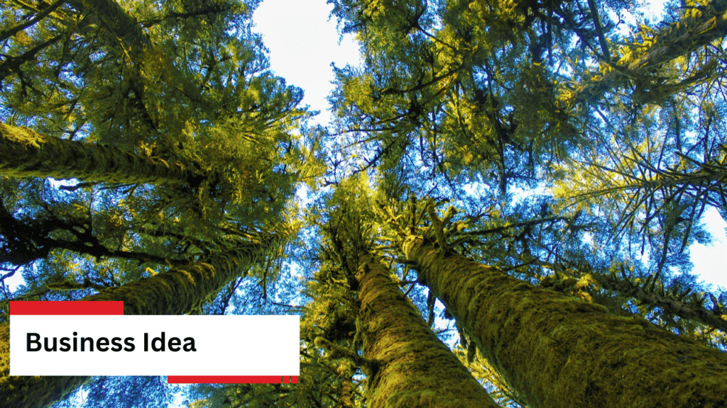 Business Idea 34 Business Idea 34