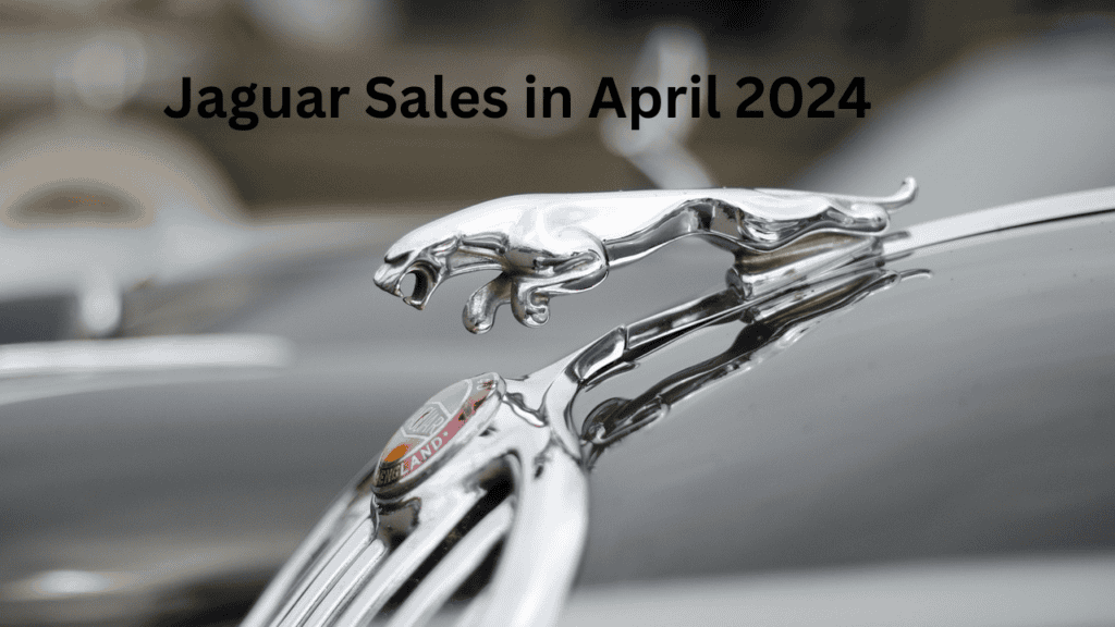 Jaguar Jaguar