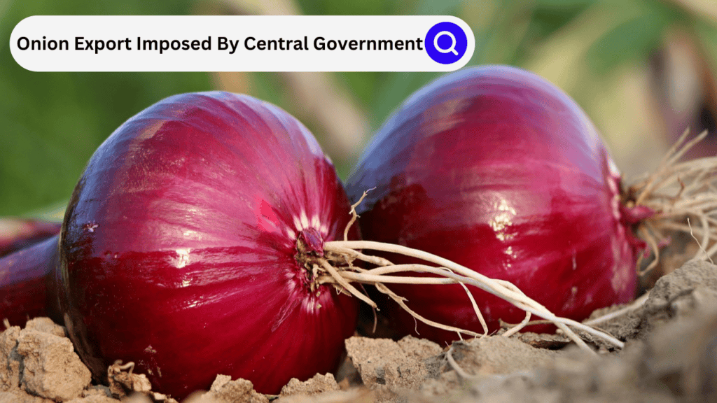 TWO ONIONS ON GROUND