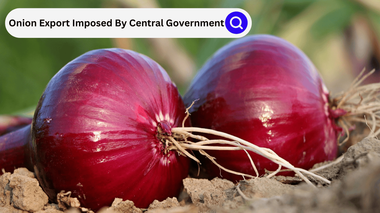 TWO ONIONS ON GROUND